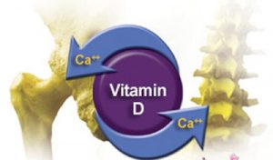 Canxi và Vitamin D phát triển chiều cao của trẻ