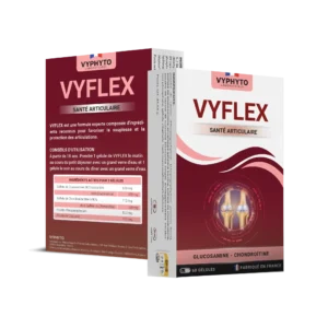 Hỗ trợ tốt cho khớp Vyphyto Vyflex (Hộp 60 viên) - Nhà Thuốc Trường Thọ